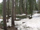 photo thumbnail #3