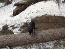 photo thumbnail #4