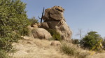 photo thumbnail #11