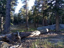 photo thumbnail #14