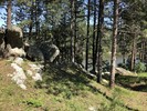 photo thumbnail #3