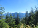 photo thumbnail #2
