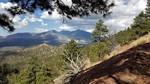 photo thumbnail #5
