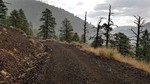 photo thumbnail #12