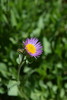 photo thumbnail #15