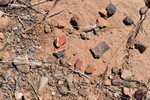 photo thumbnail #12