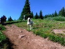 photo thumbnail #2