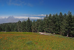 photo thumbnail #8