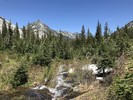 photo thumbnail #5