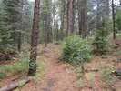 photo thumbnail #1