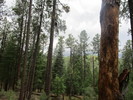photo thumbnail #4