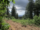 photo thumbnail #10