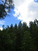 photo thumbnail #11