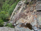 photo thumbnail #15