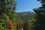 photo thumbnail #8