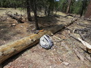 photo thumbnail #3