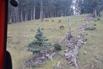 photo thumbnail #7