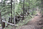 photo thumbnail #4