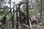 photo thumbnail #5