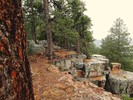 photo thumbnail #8