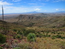 photo thumbnail #5