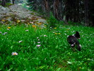 photo thumbnail #5