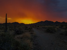 photo thumbnail #2