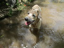 photo thumbnail #8