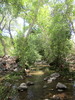 photo thumbnail #10