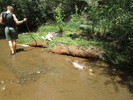 photo thumbnail #7