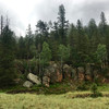 photo thumbnail #3
