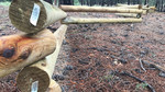 photo thumbnail #8