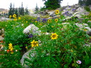 photo thumbnail #7