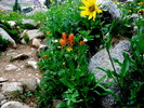 photo thumbnail #8