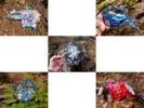 photo thumbnail #7