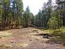 photo thumbnail #4