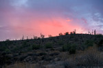 photo thumbnail #1