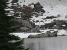 photo thumbnail #9