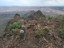 photo thumbnail #2