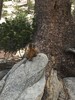 photo thumbnail #11