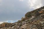 photo thumbnail #9