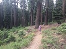 photo thumbnail #3