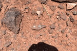 photo thumbnail #15