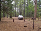 photo thumbnail #1