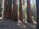 photo thumbnail #2