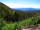 photo thumbnail #2