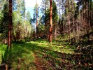 photo thumbnail #3