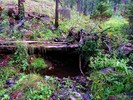 photo thumbnail #4