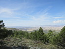 photo thumbnail #2