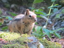 photo thumbnail #1